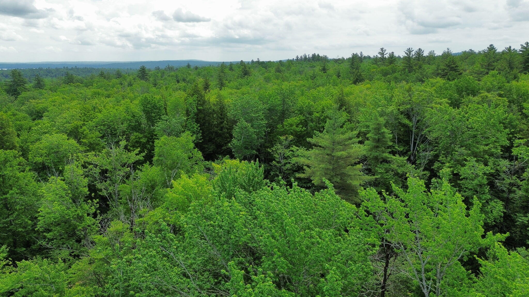0 Homestead Hill Road Mercer, ME 04957 - Photo 5 of 13