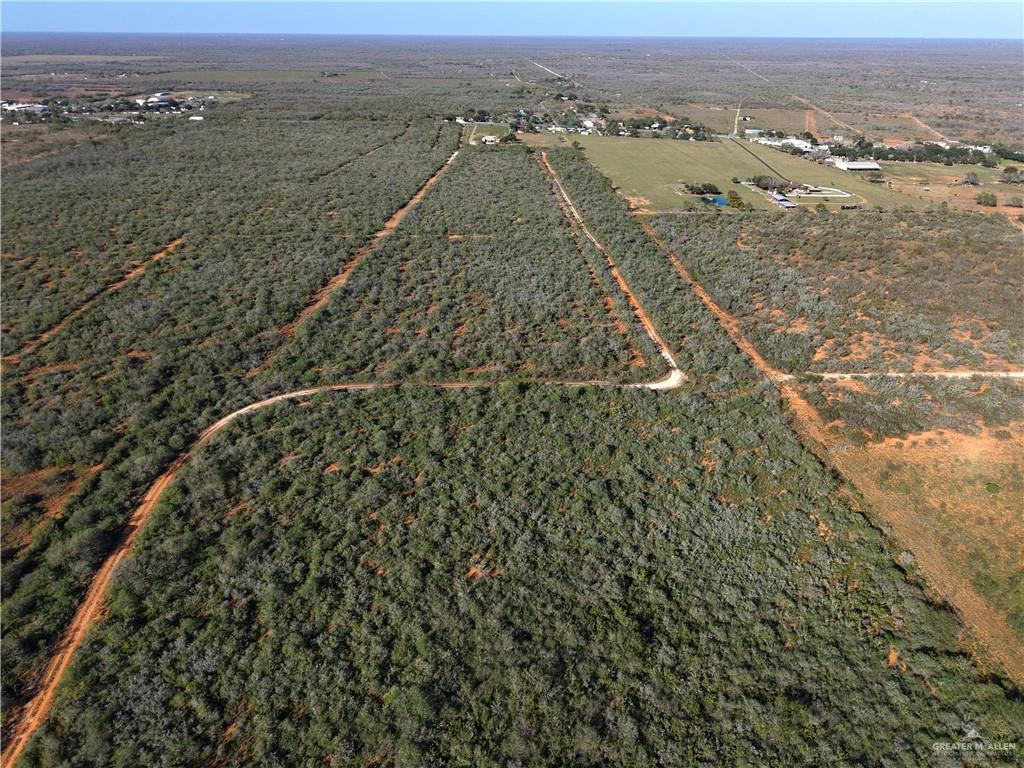 5212 Fm 1017 Delmita, TX 78536 - Photo 8 of 17