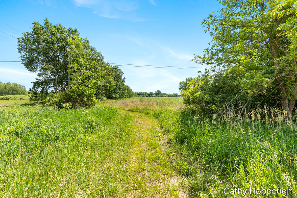 0 East Portland Road Portland, MI 48875 - Photo 15 of 26 3128-Portland_015