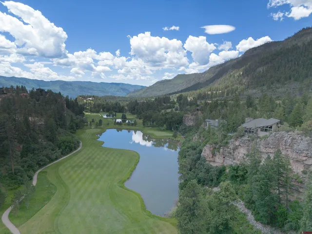 an aerial view of a residential houses with outdoor space and trees