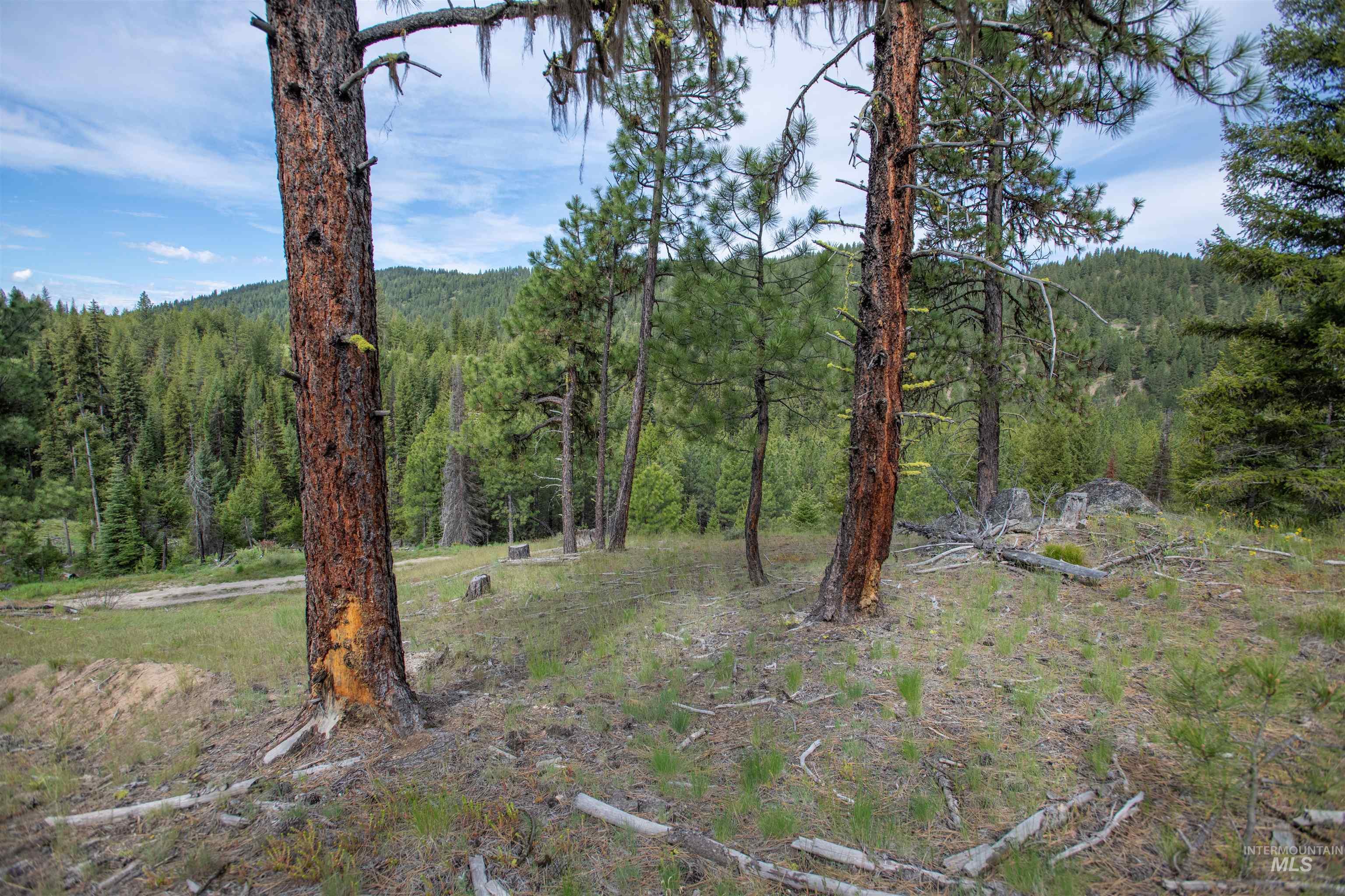 34 Clear Creek Road Cascade, ID 83611 - Photo 9 of 10