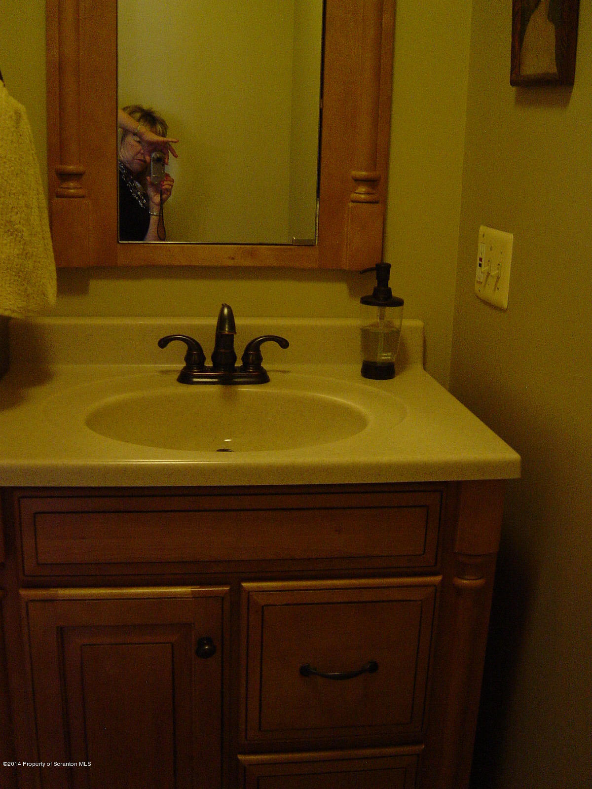 917 Clearview Road Moscow, PA 18444 - Photo 23 of 41 Gallery Image 23