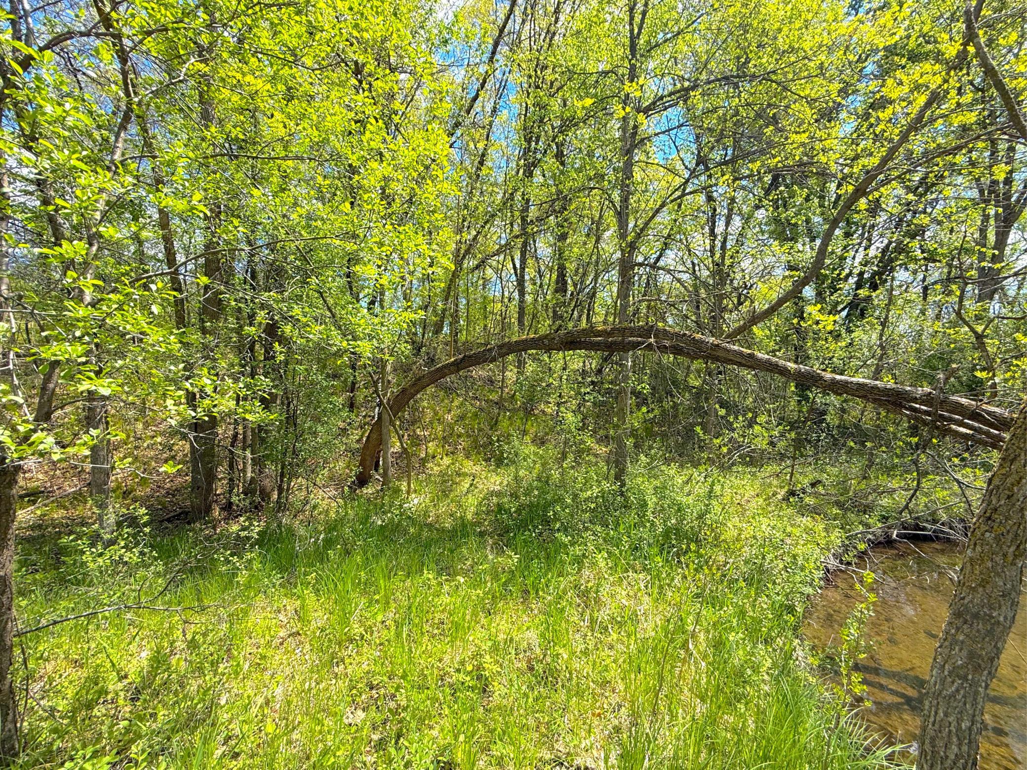 212-xx Franklin Road Clearwater, MN 55320 - Photo 21 of 22