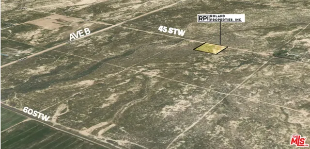 a black and white photo of a painting