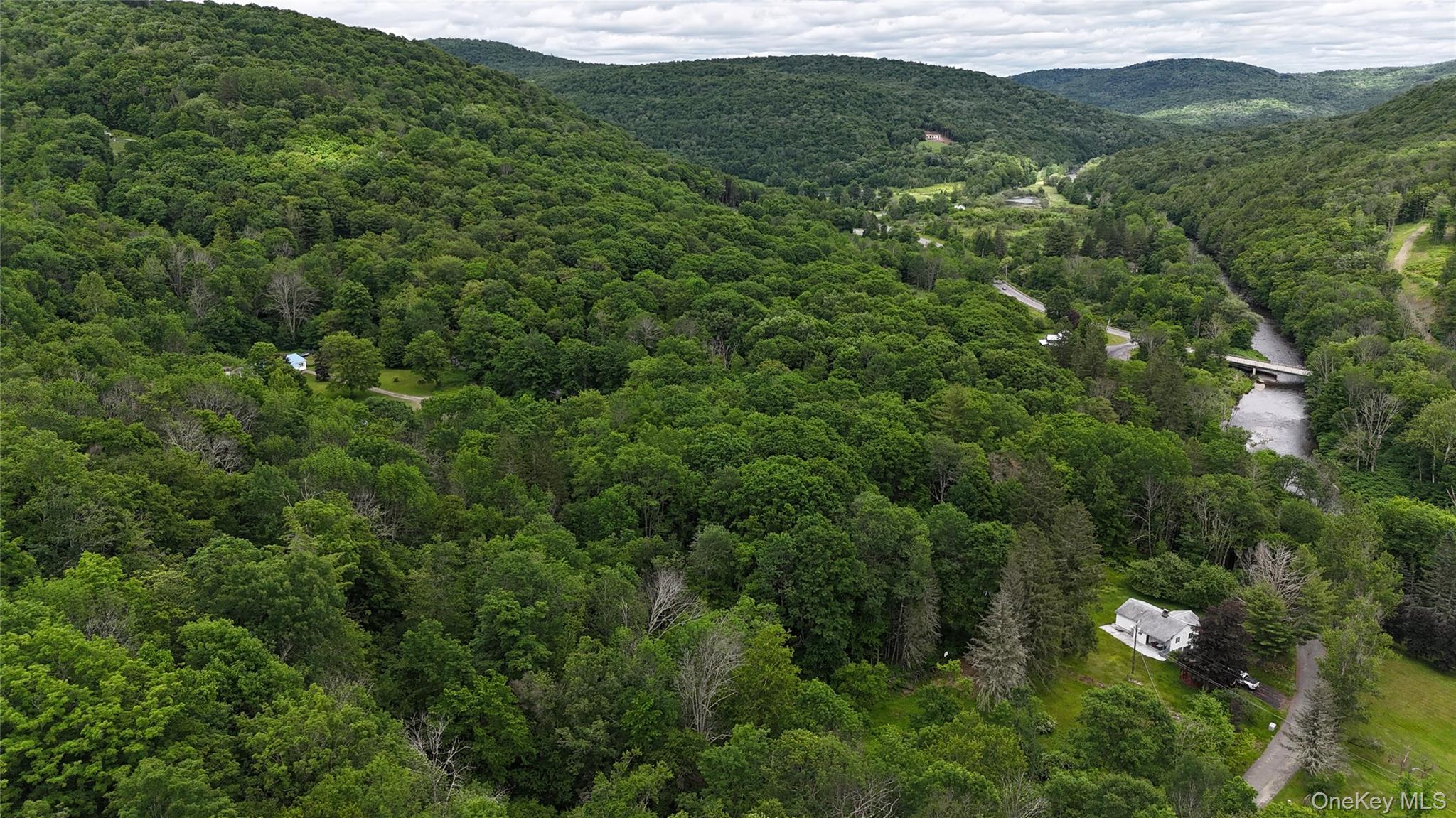 549 Gavette Road Roscoe, NY 12776 - Photo 31 of 31 a view of a lush green forest with houses