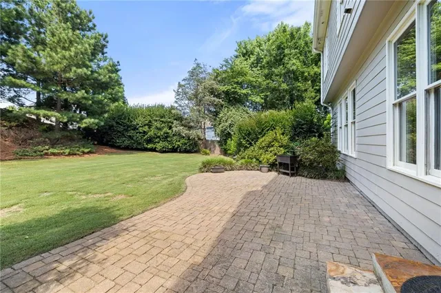 a view of a yard with plants