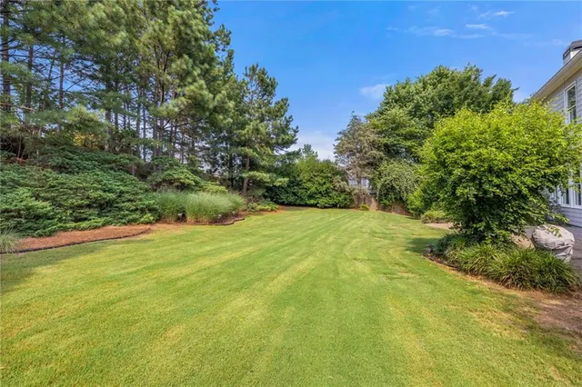 a view of a big yard with large trees