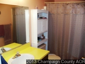 220 Maple Street Weldon, IL 61882 - Photo 4 of 6