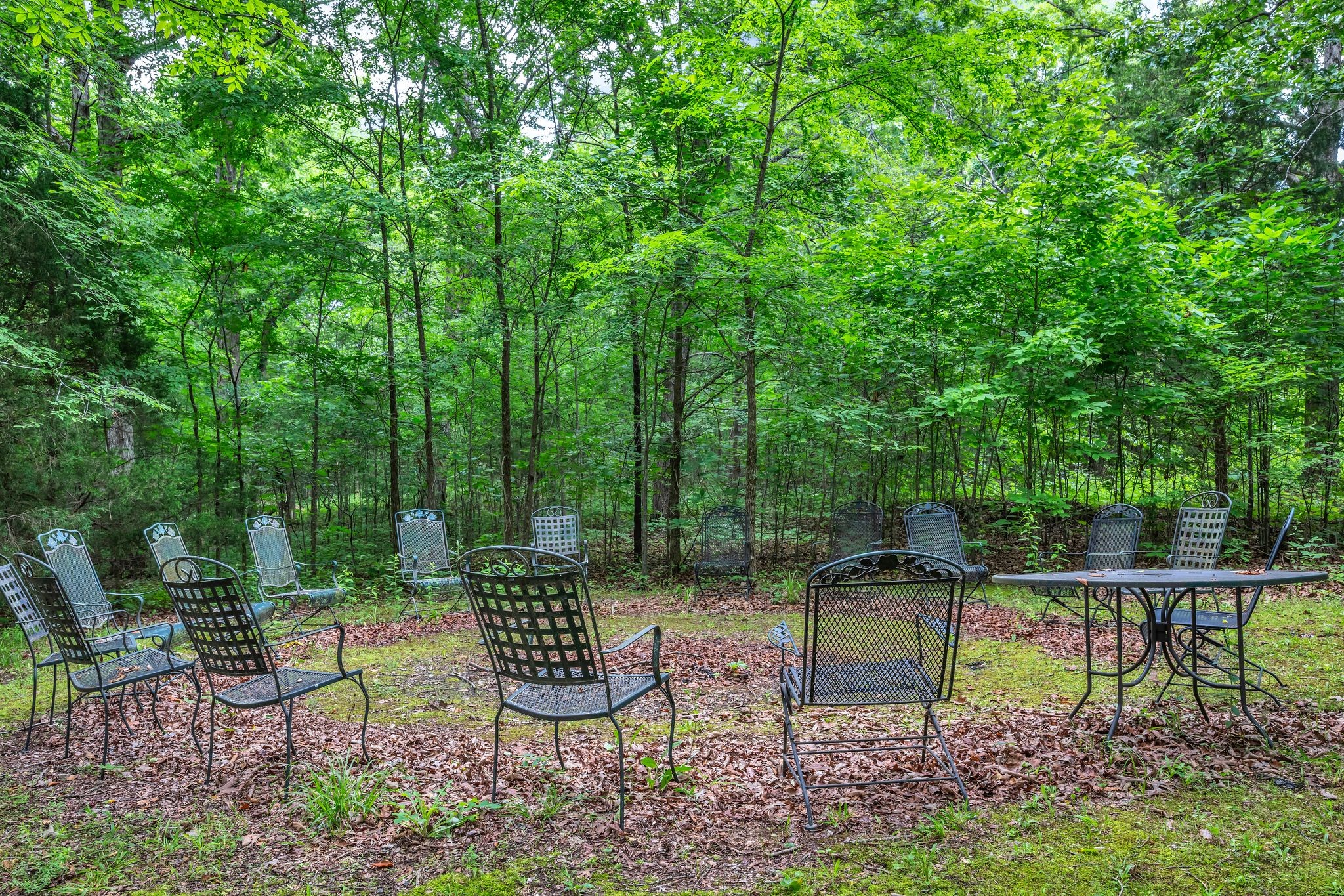 1026 Yellow Creek Road Dickson, TN 37055 - Photo 11 of 50