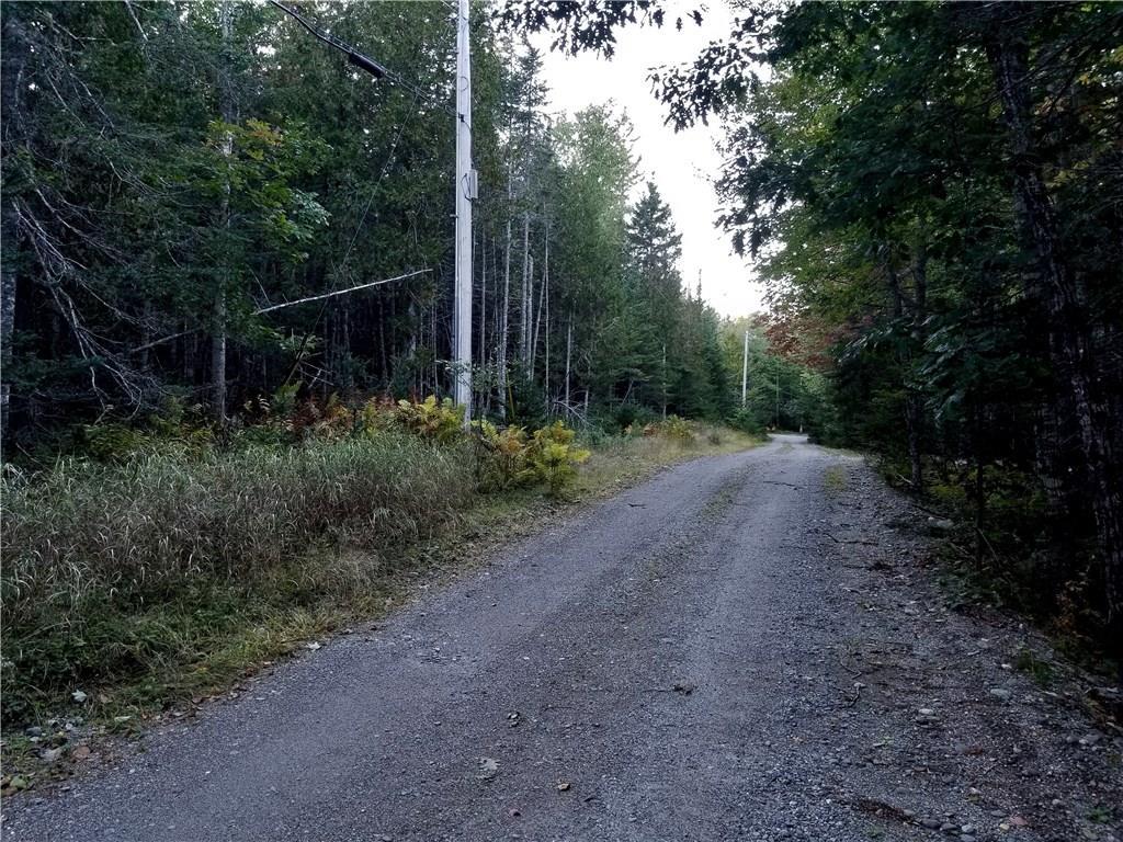 Lot 11 North Road Lamoine, ME 04605 - Photo 1 of 2 Photo