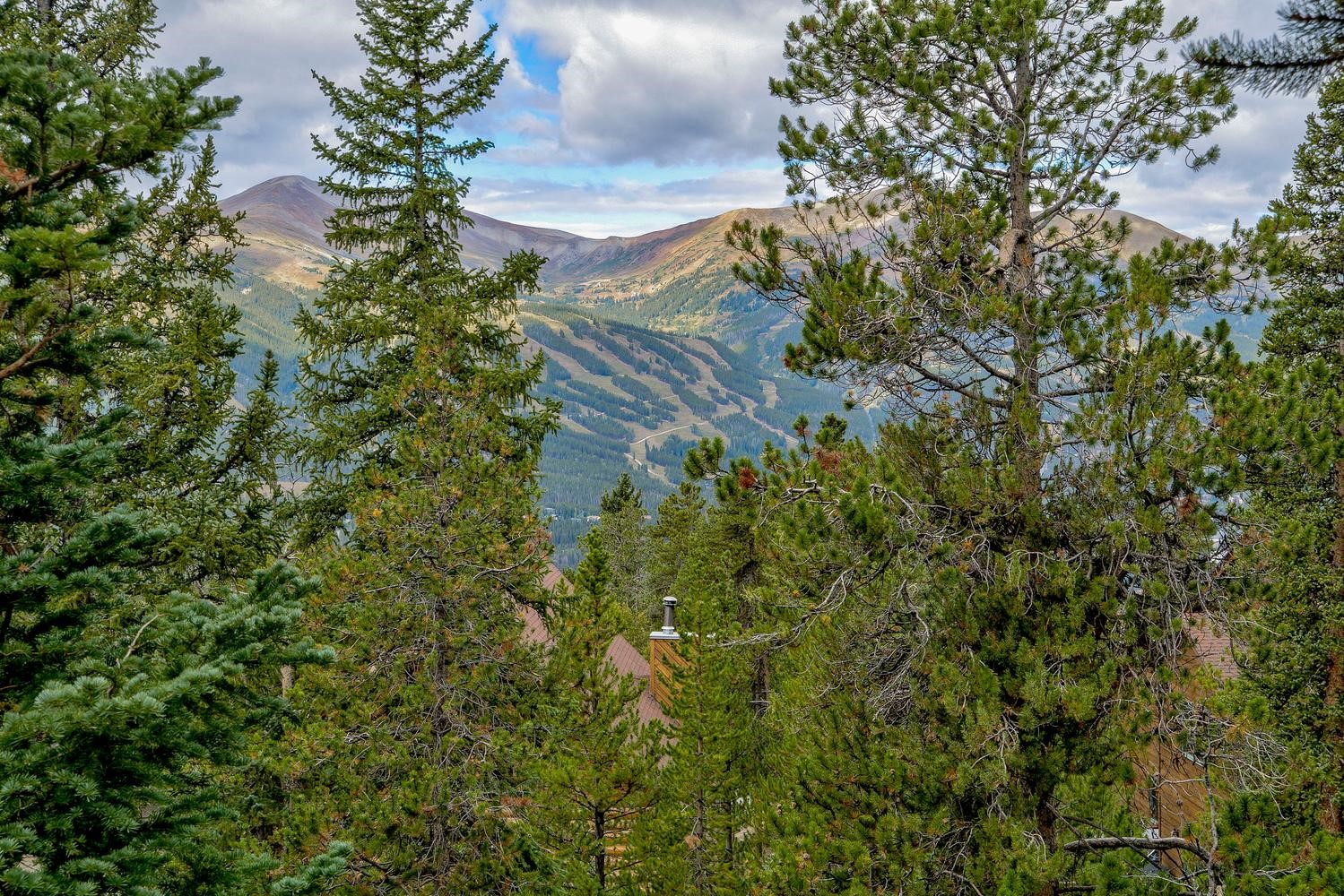 151 Emmett Lode Road Breckenridge, CO 80424 - Photo 16 of 31 Gallery Image 16