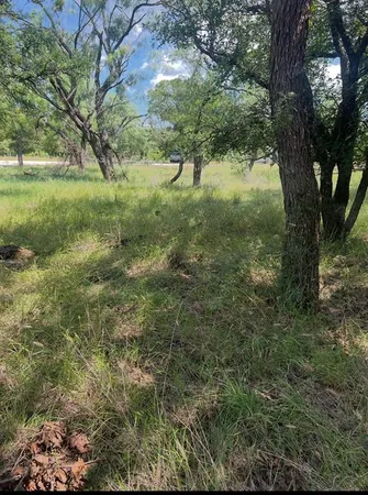 a view of a lush green space