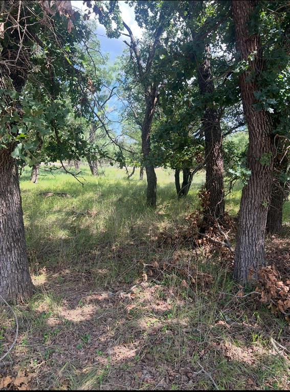 Lot 933 Oak Point Drive May, TX 76857 - Photo 2 of 4 a view of outdoor space and trees