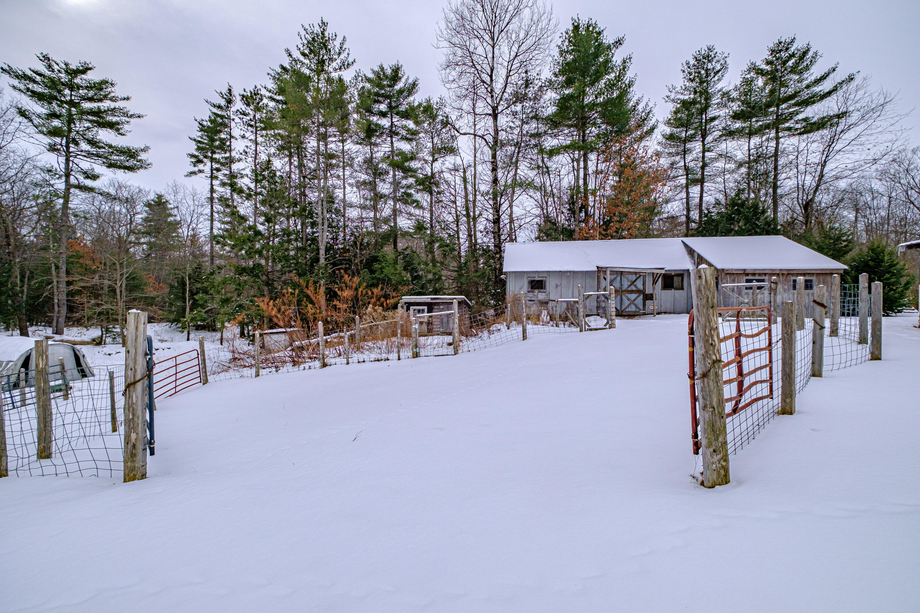 9 Carl Burnell Road East Baldwin, ME 04024 - Photo 96 of 102 20250131gp-61068
