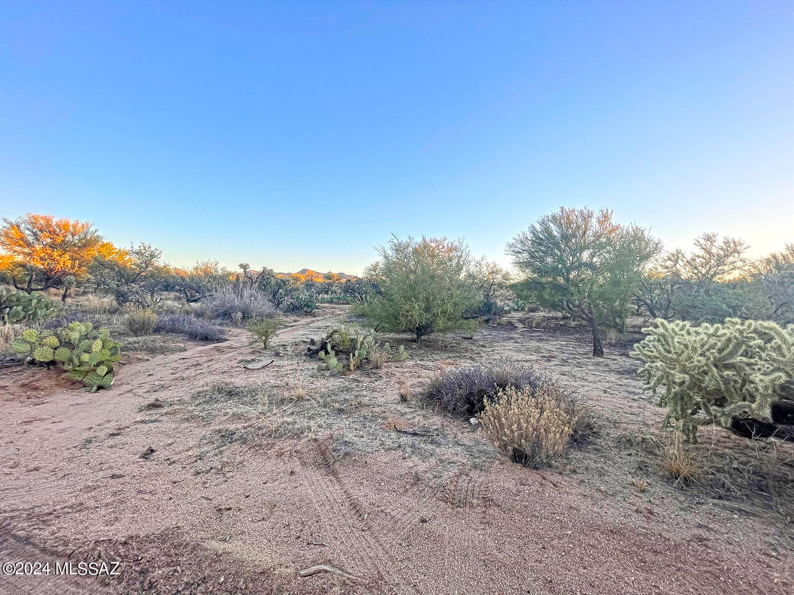 13411 South Sierrita Mountain Road, Unit 497 Tucson, AZ 85736 - Photo 4 of 8
