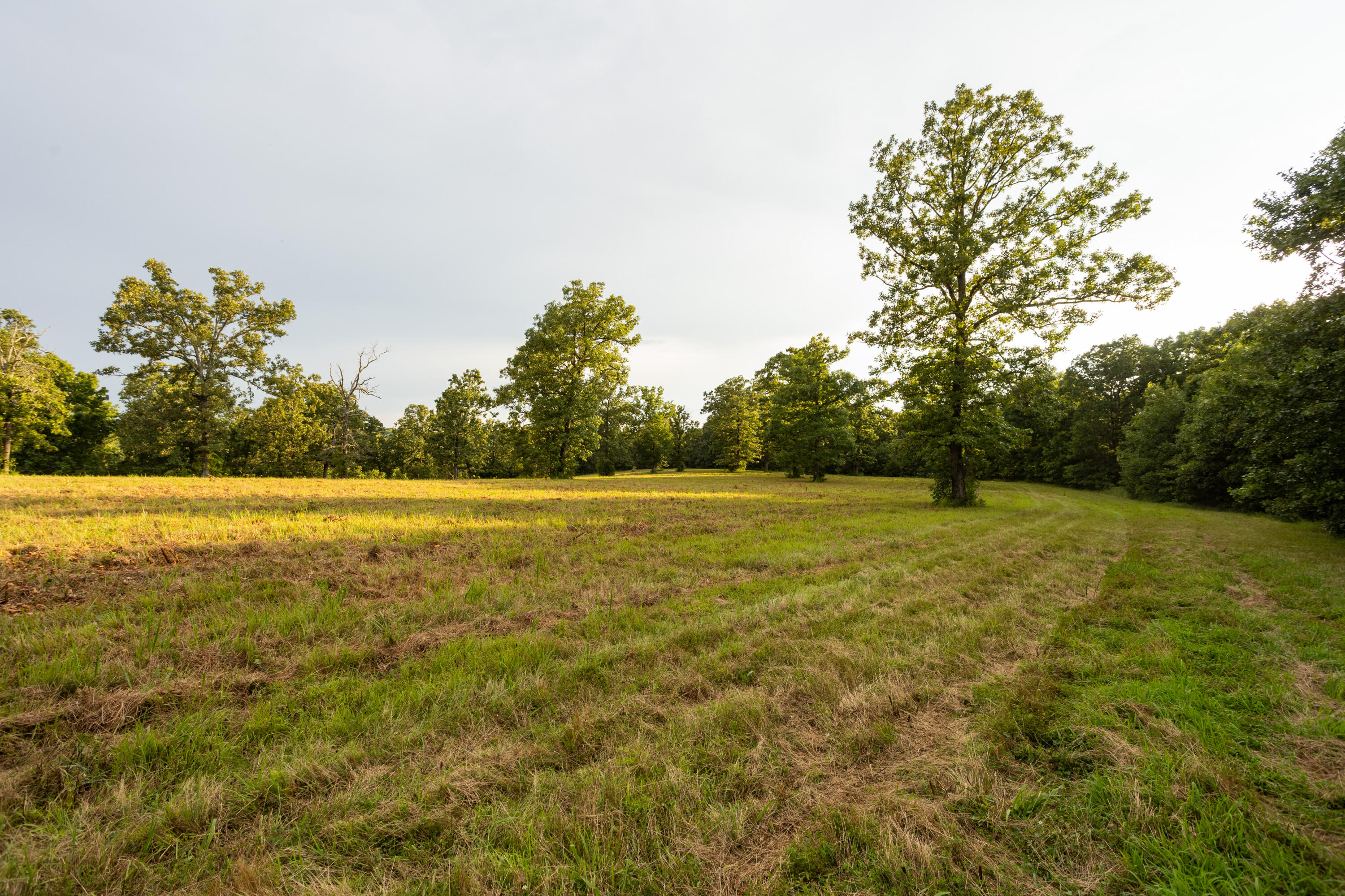 11995 Harvest Road Lebanon, MO 65536 - Photo 67 of 84 53