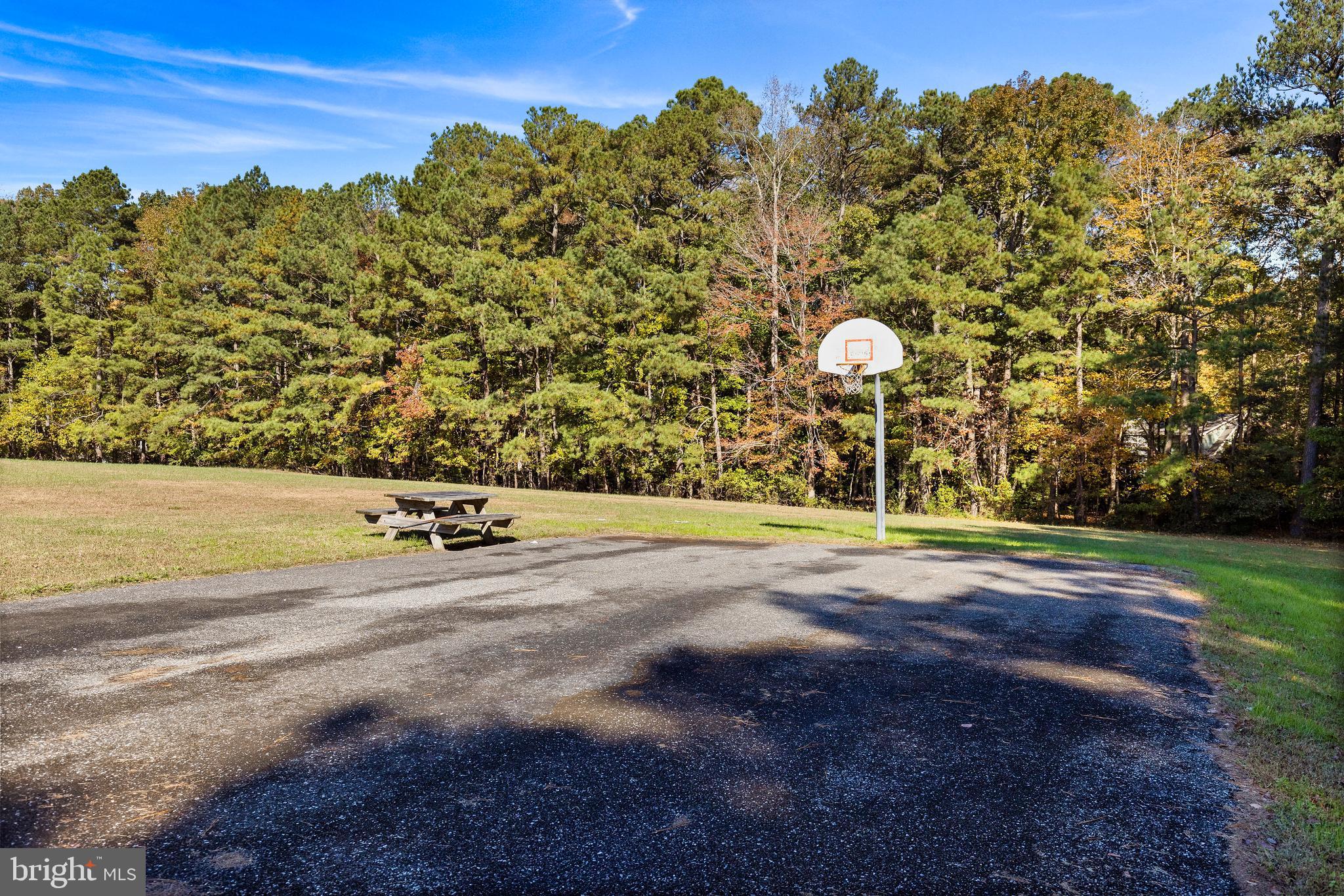 38 Canal Road Ocean Pines, MD 21811 - Photo 40 of 40 a view of a basketball court