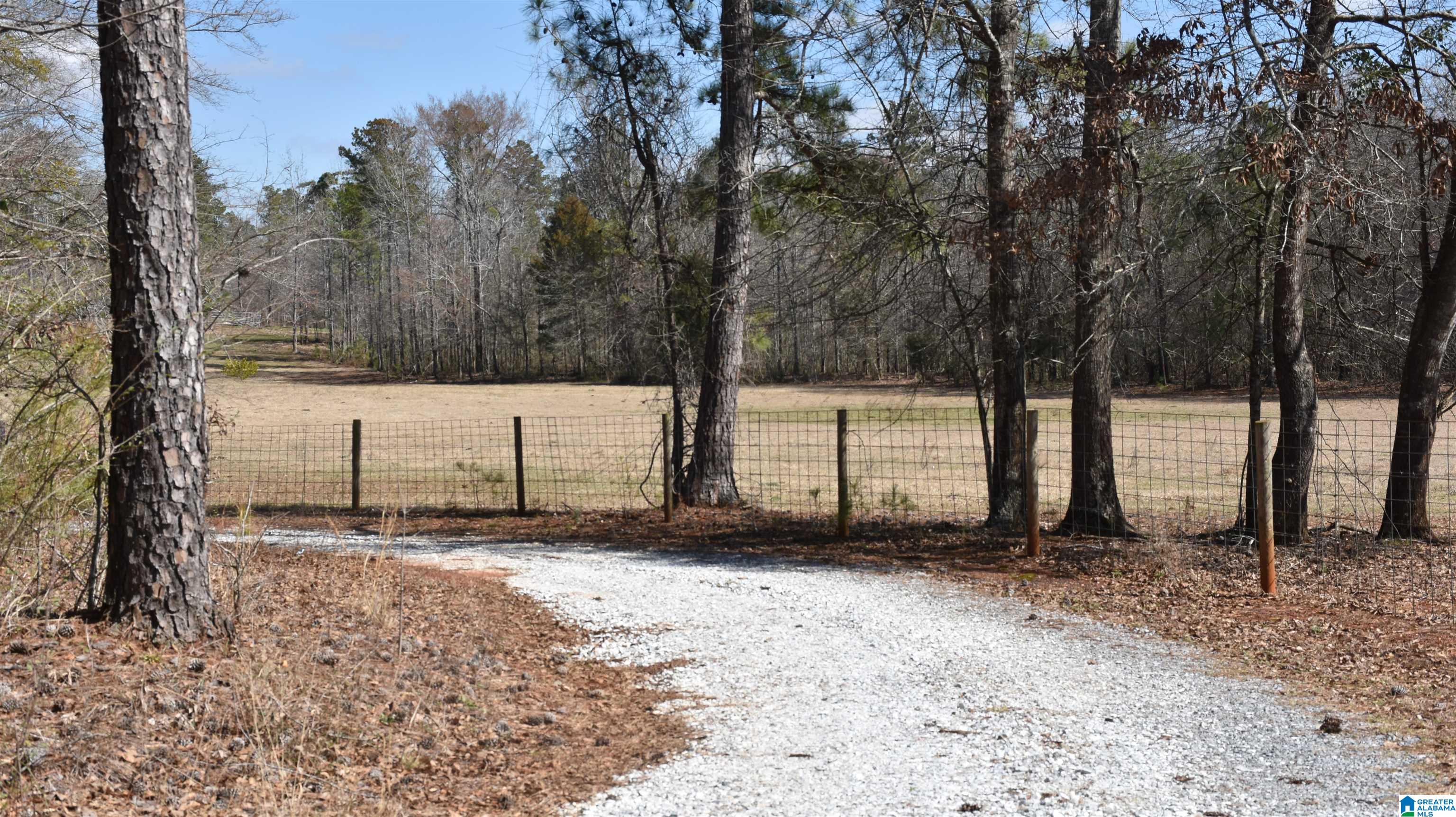 2003 New Maryland Road Alpine, AL 35014 - Photo 3 of 38