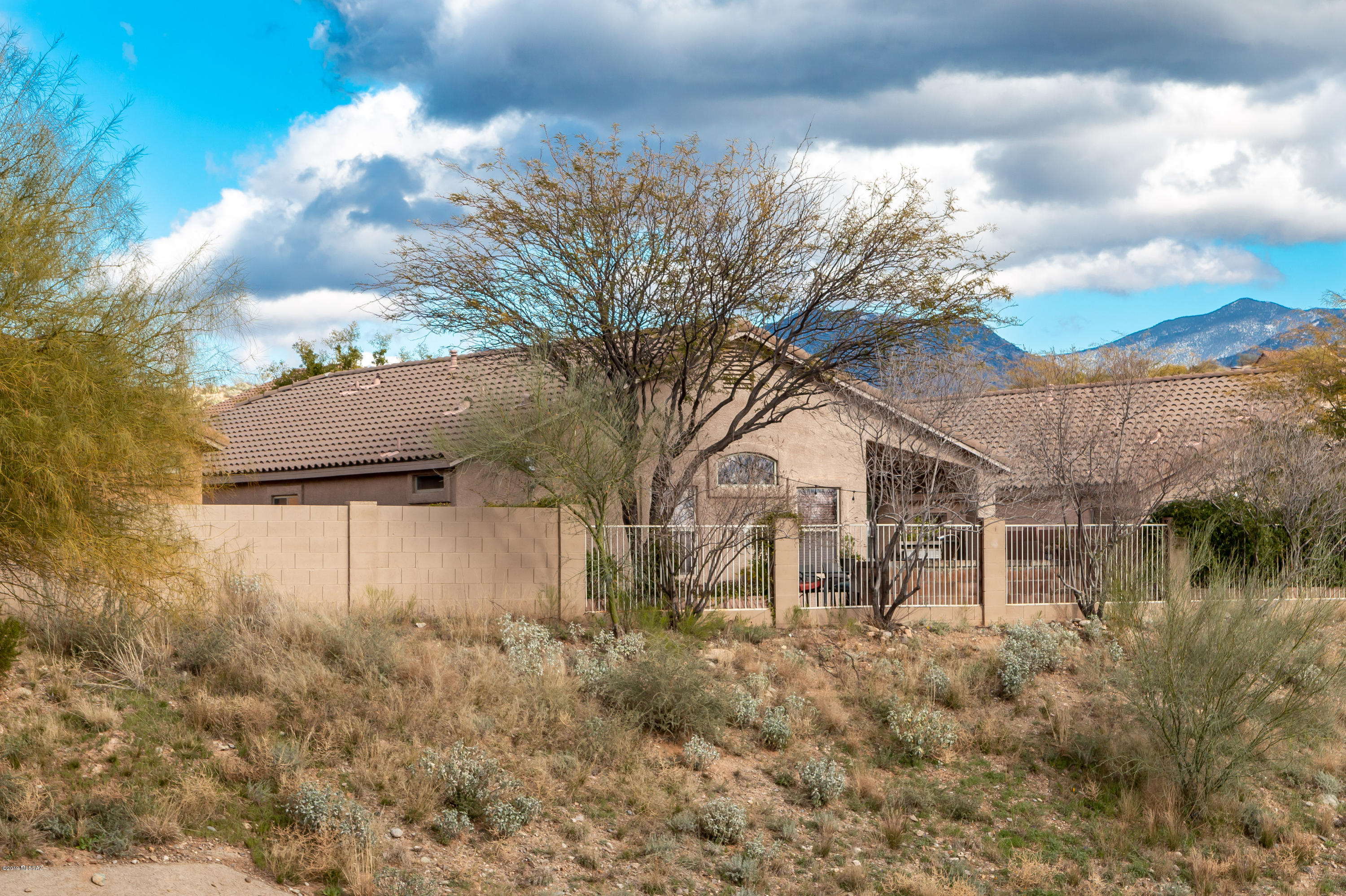 39118 Rodeo Buckle Drive Tucson, AZ 85739 - Photo 42 of 45