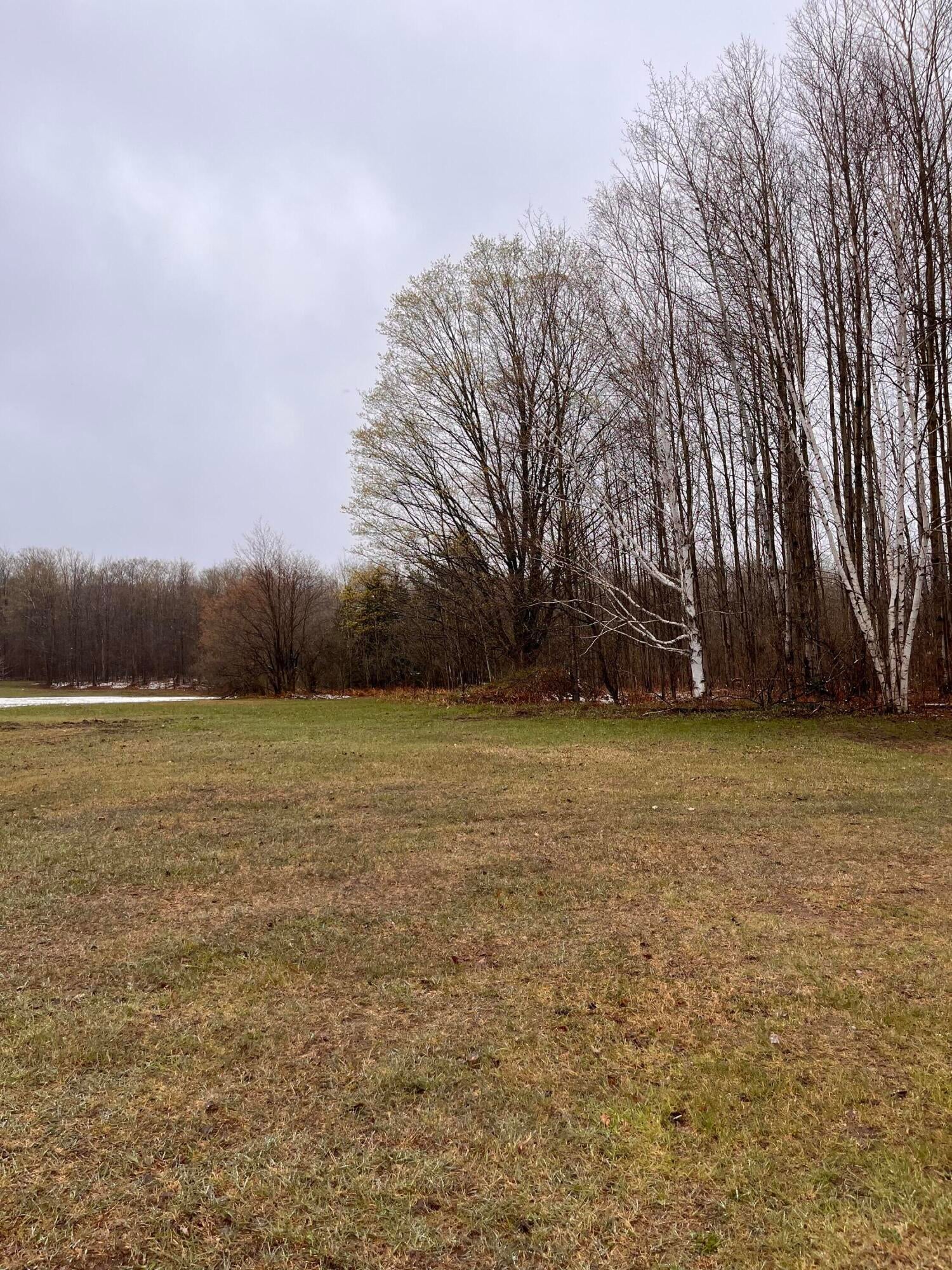 11900 Sherman Road Frederic, MI 49733 - Photo 31 of 33 Gallery Image 31