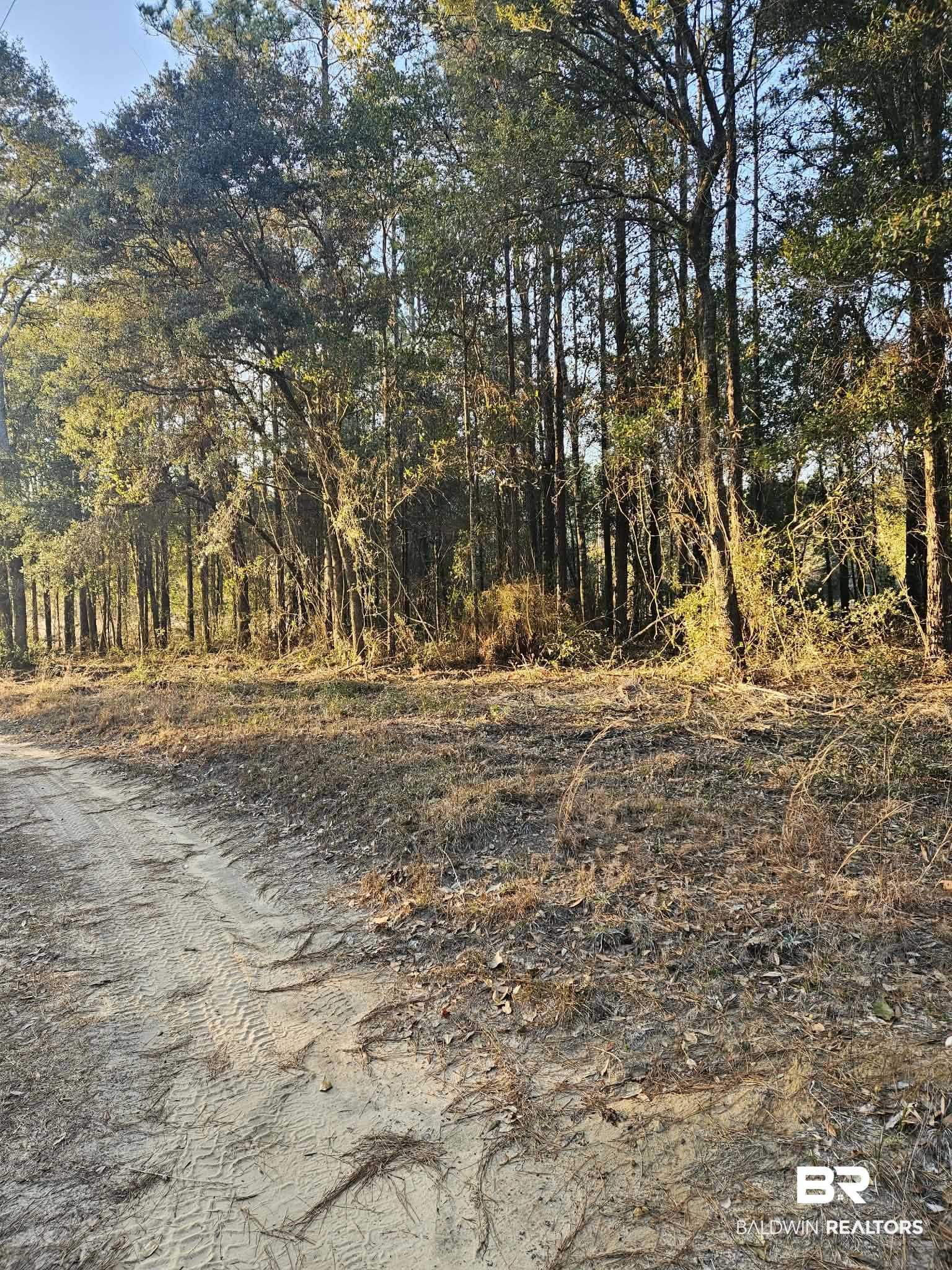 0 Gardner Road Elberta, AL 36530 - Photo 5 of 9