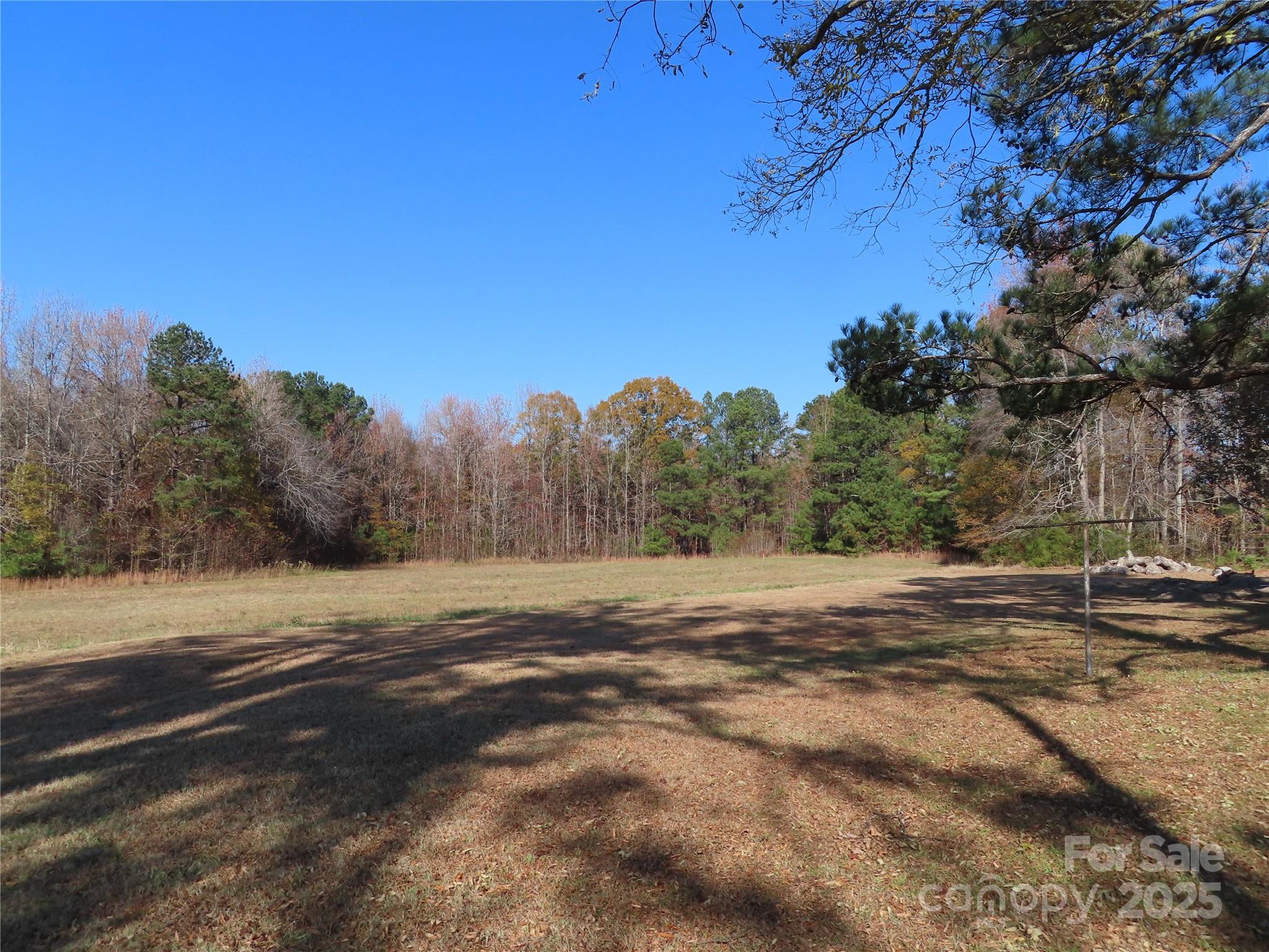605 State Road 182 Chester, SC 29706 - Photo 11 of 32 a view of dirt yard with a large tree