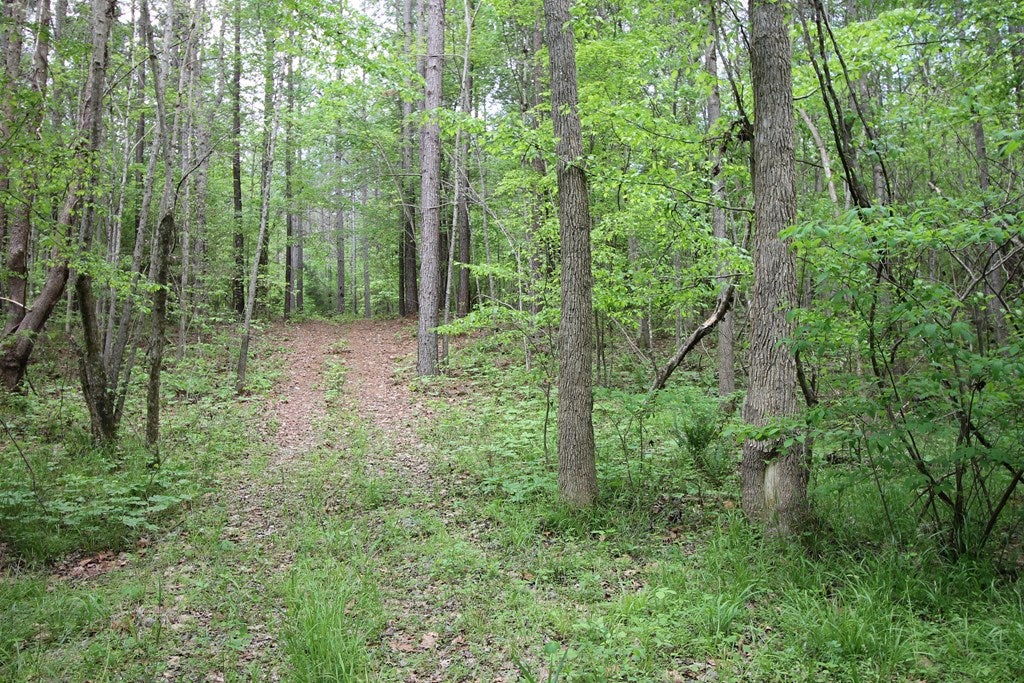 Sheltons Road, Unit 3 Drakes Branch, VA 23937 - Photo 17 of 18 Gallery Image 17