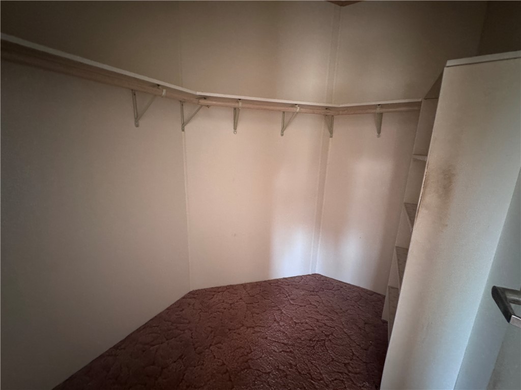 3053 McConnico Road Golden Valley, AZ 86413 - Photo 10 of 18 Walk in closet featuring carpet floors