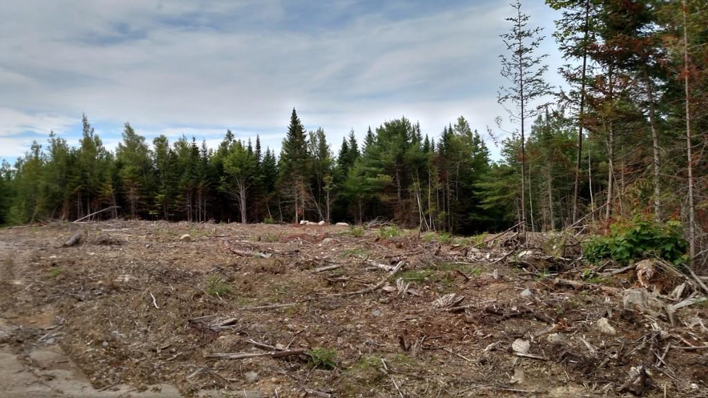 Lot 1-1 Off Old Springfield Road Springfield, ME 04487 - Photo 3 of 9 Photo