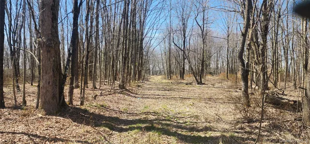 a view of outdoor space with trees