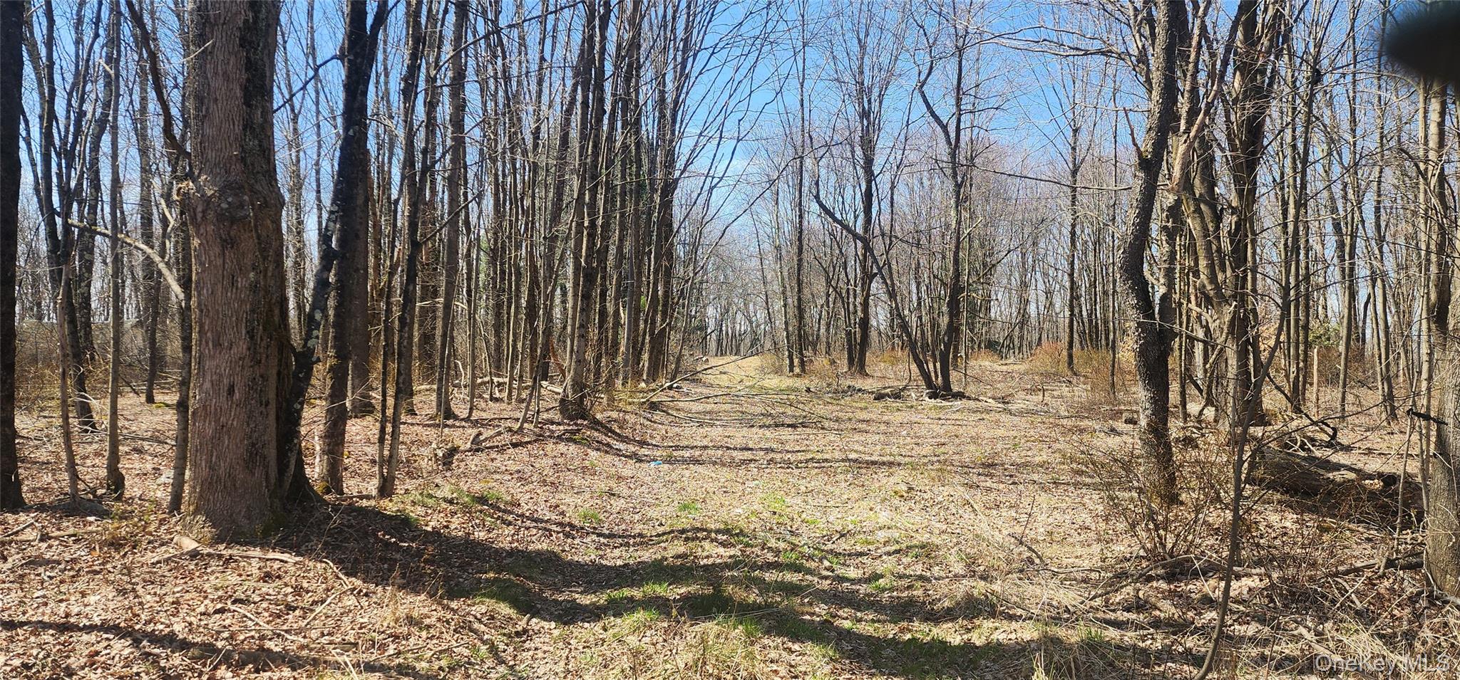 a view of outdoor space with trees