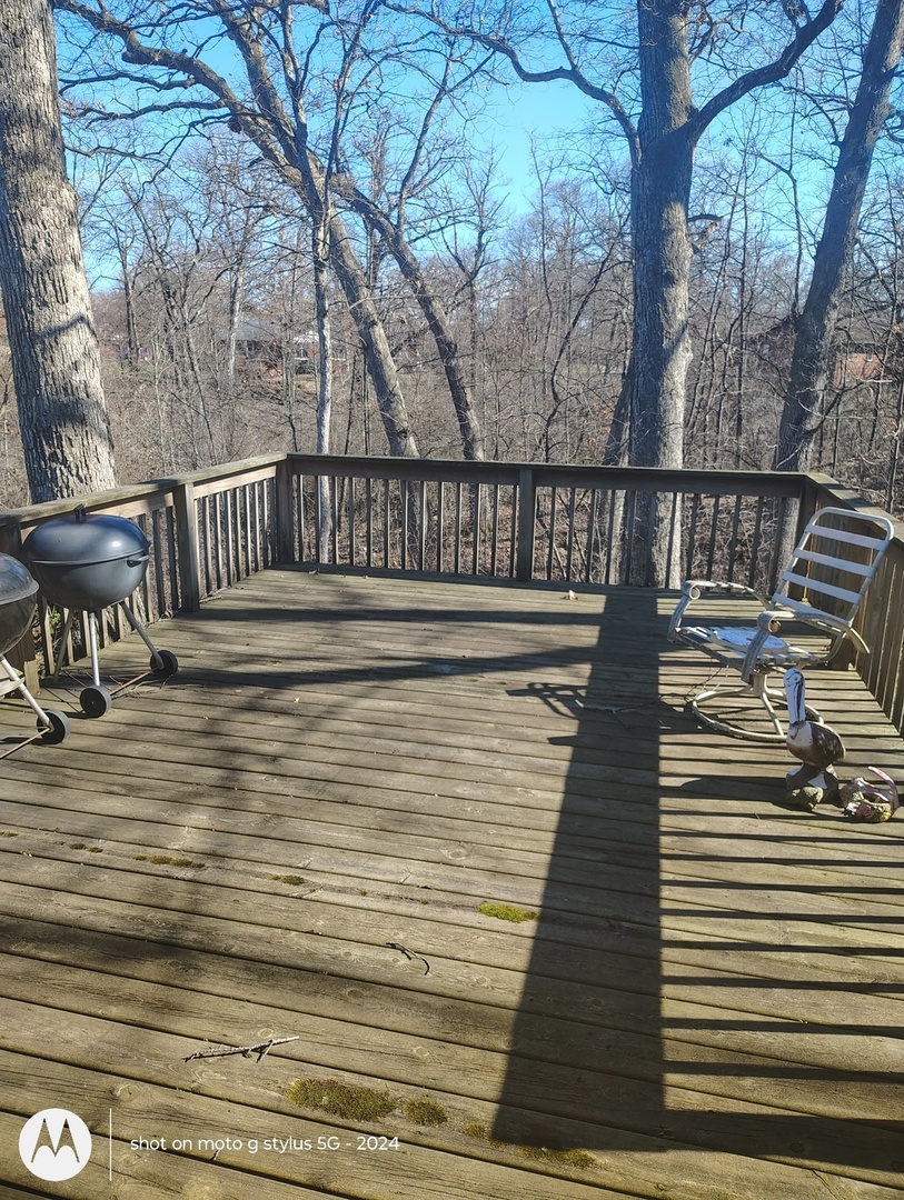 108 Chalet Court Crete, IL 60417 - Photo 6 of 13