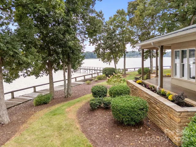 a view of a yard with plants and a large tree