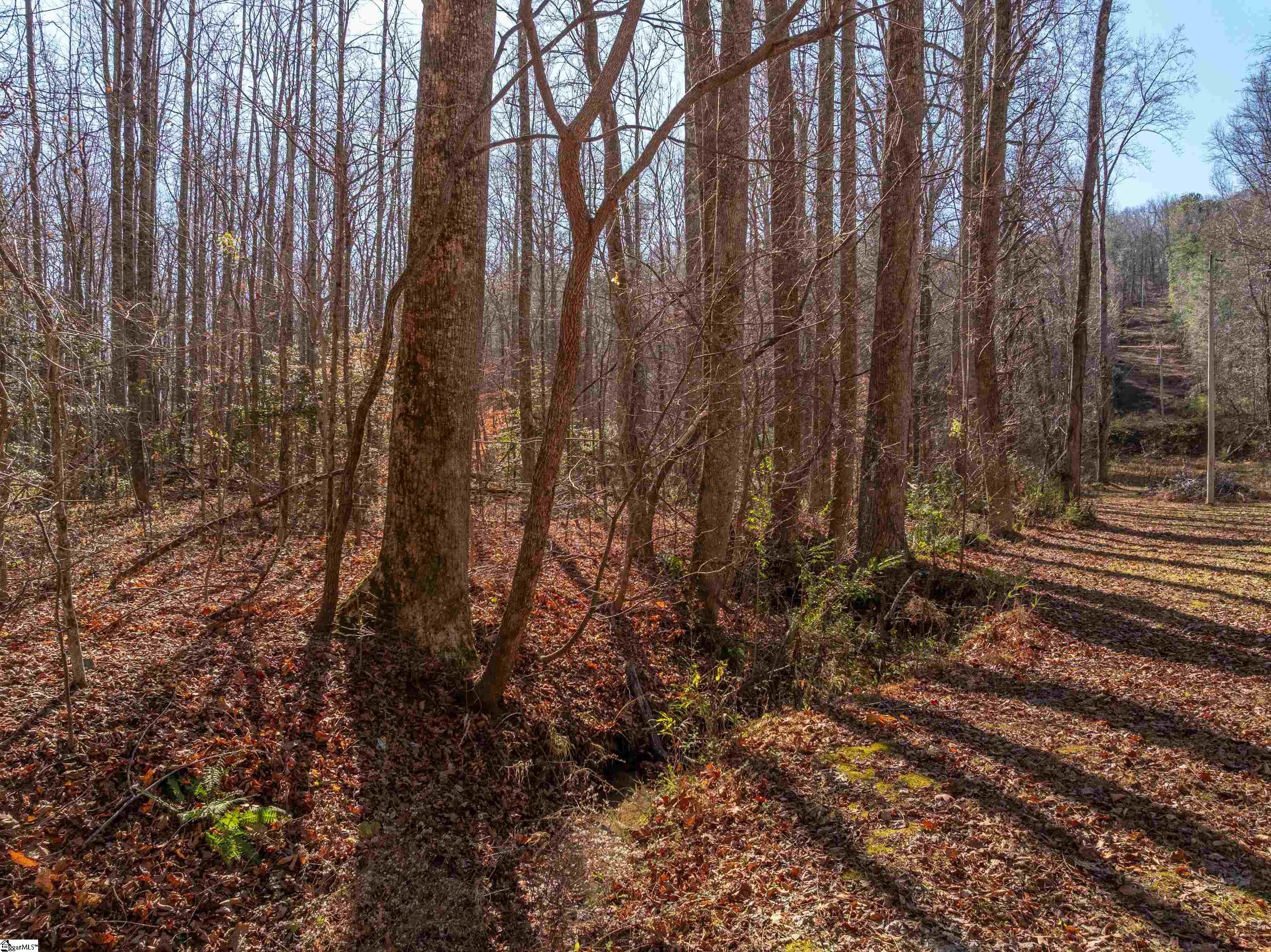 0 Pittman Road Landrum, SC 29356 - Photo 24 of 25
