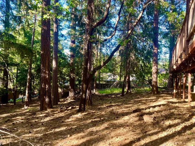a front view of a house with a tree