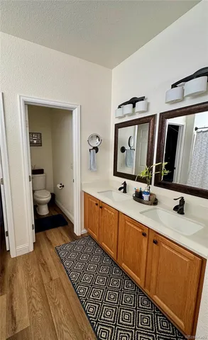 a bathroom with a sink a mirror and a toilet