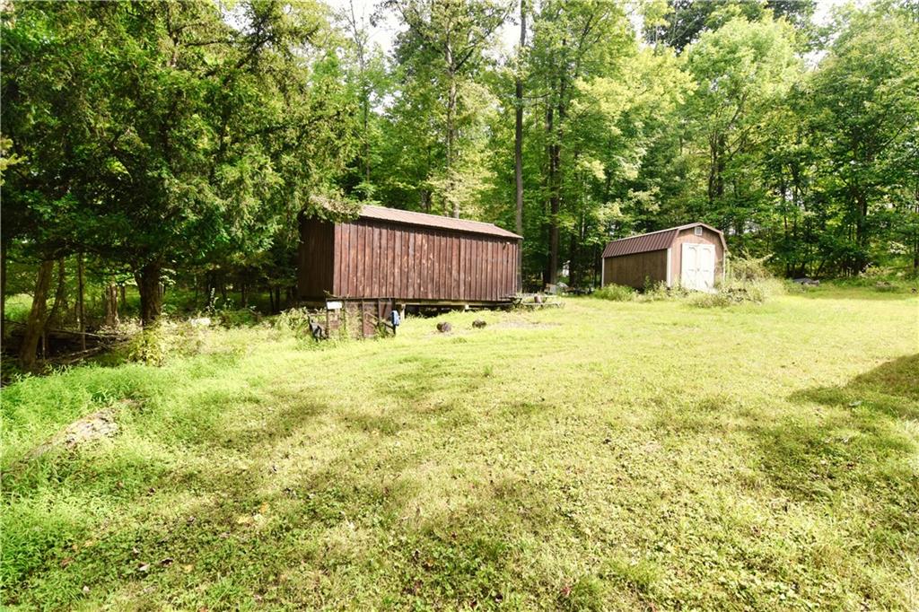 456 Preacher Hill Road West Hickory, PA 16370 - Photo 3 of 21 a backyard of a house with yard and tree s