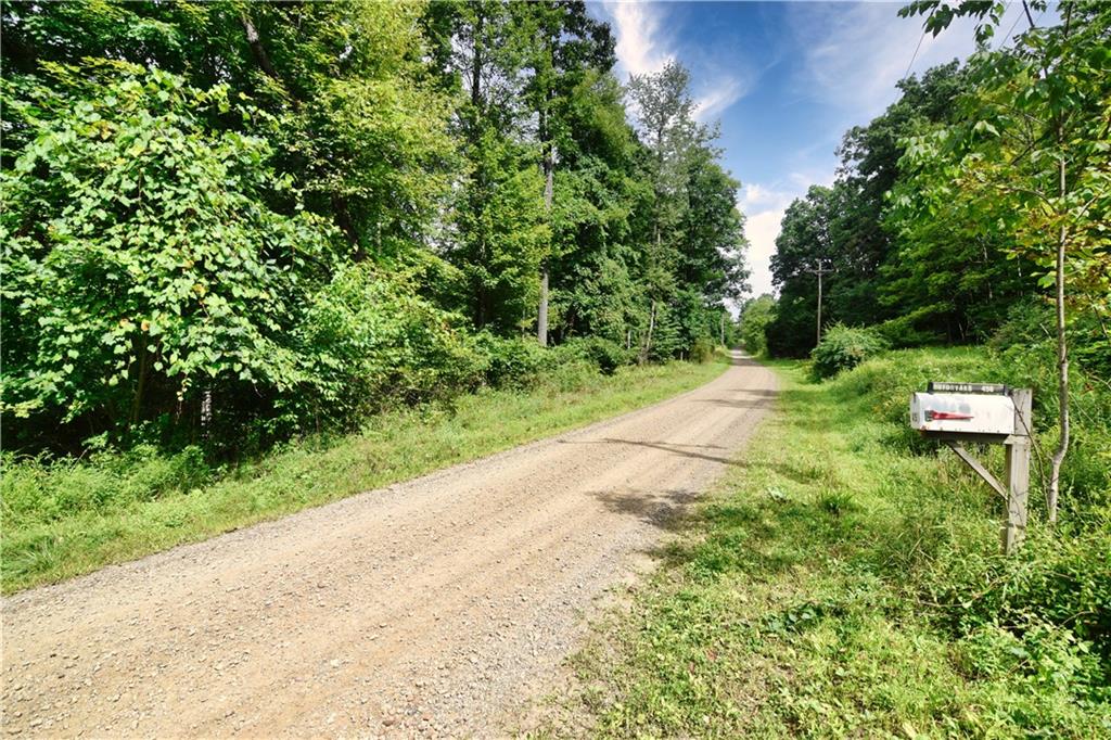 456 Preacher Hill Road West Hickory, PA 16370 - Photo 4 of 21 a backyard of a house with a yard and fountain