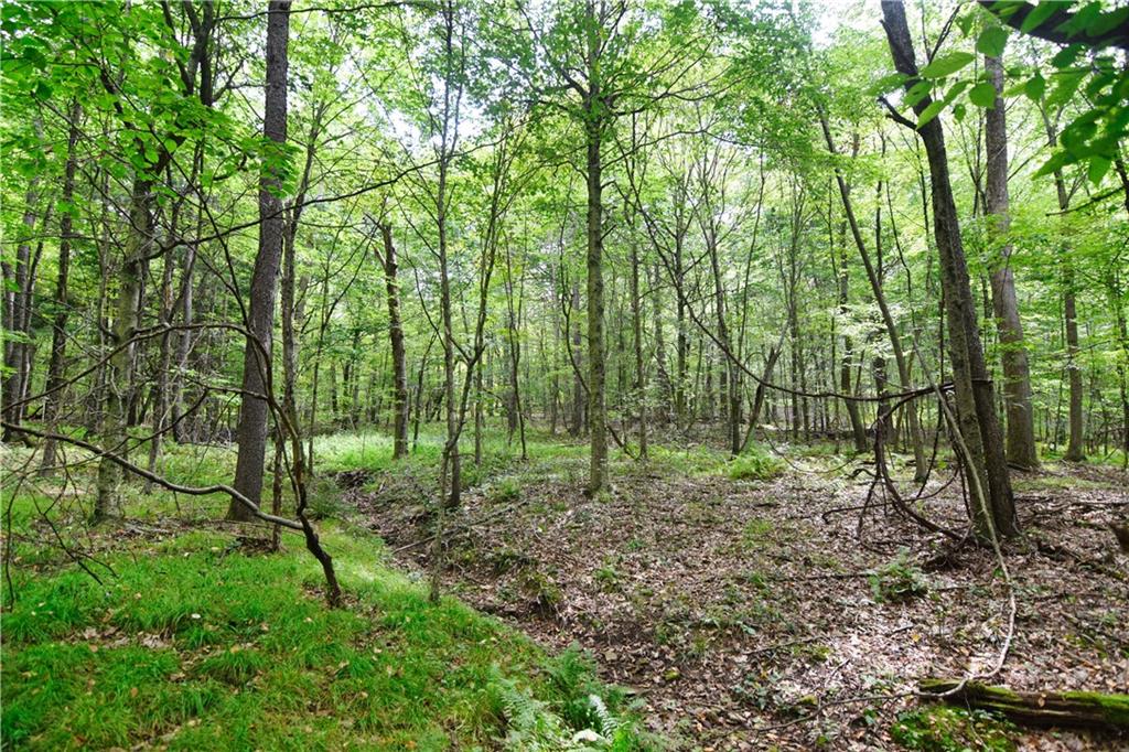 456 Preacher Hill Road West Hickory, PA 16370 - Photo 9 of 21 a view of outdoor space and green space