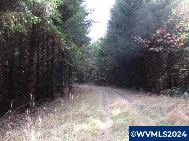 0 Northwest Crane (1) Road Yamhill, OR 97148 - Photo 1 of 10