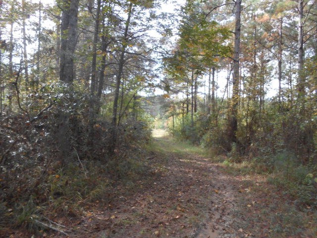 . Corman O'Neil Road Gloster, MS 39638 - Photo 3 of 11 Photo 3