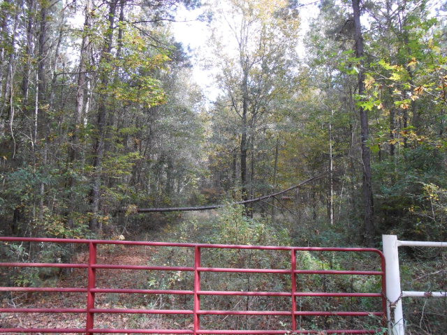 . Corman O'Neil Road Gloster, MS 39638 - Photo 4 of 11 Photo 4