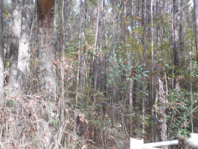 . Corman O'Neil Road Gloster, MS 39638 - Photo 8 of 11 Photo 8