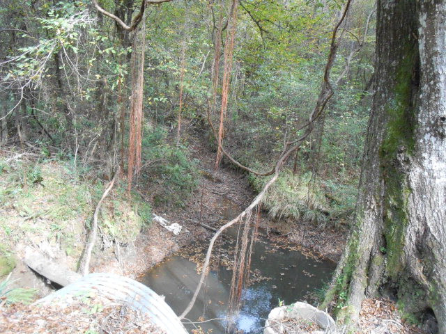 . Corman O'Neil Road Gloster, MS 39638 - Photo 9 of 11 Photo 9
