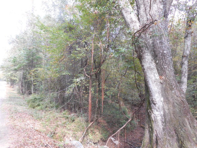 . Corman O'Neil Road Gloster, MS 39638 - Photo 10 of 11 Photo 10