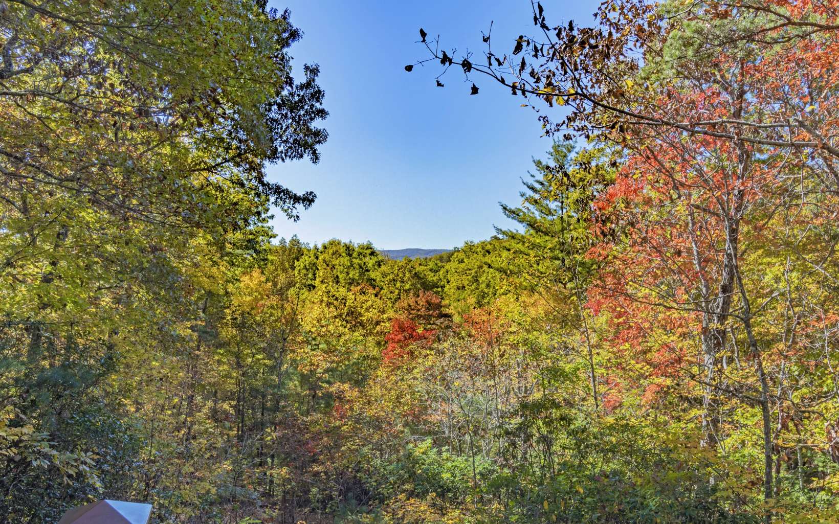244 Lower Prince Mountain Road Cherry Log, GA 30522 - Photo 2 of 4 Additional View
