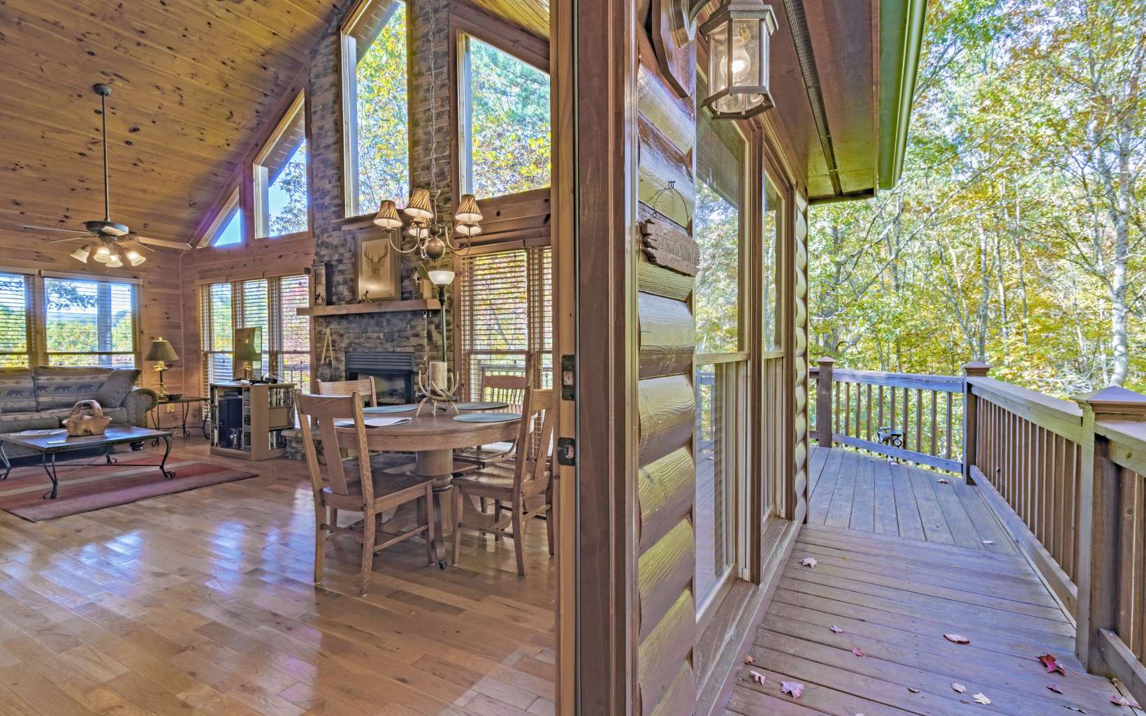 244 Lower Prince Mountain Road Cherry Log, GA 30522 - Photo 4 of 4 Additional View