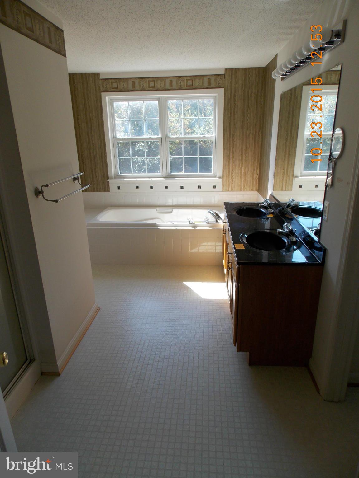 10171 Tetotum Road King George, VA 22485 - Photo 19 of 29 Bath (Master)