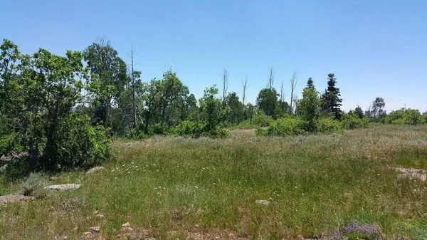 $145,000 | Lot 8 Spring Drive, Unit 8, Springdale, UT 84767