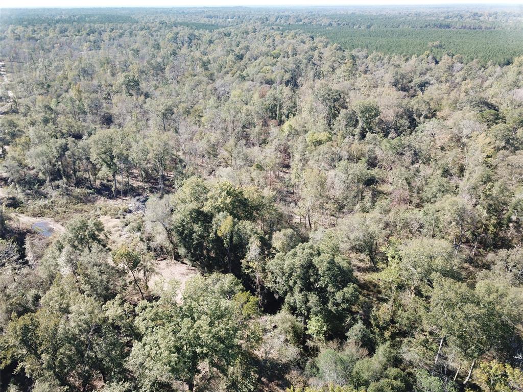 0 Evans-Gann Road Lufkin, TX 75904 - Photo 4 of 10 a view of a dry yard with green space